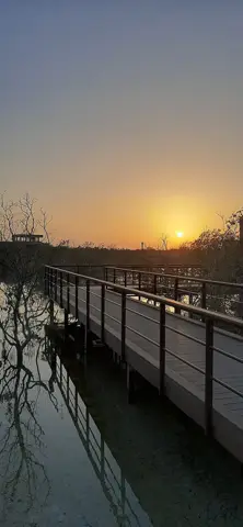 جبیل مینگروو پارک — پارک کے راستے سے غروب کا منظر۔