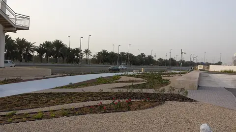 مسجد کے باہر باغات سے آراستہ راستہ۔