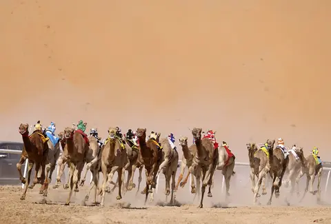 تل مرعب — ٹیلے کے مقام پر لیوا انٹرنیشنل فیسٹیول کی ایک پرانی تصویر؛ تقریبات اور رسائی بدلتی رہتی ہیں۔