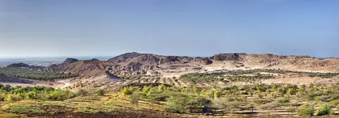 صیر بنی یاس جزیرہ — جزیرے کے ساحل کا وسیع منظر۔