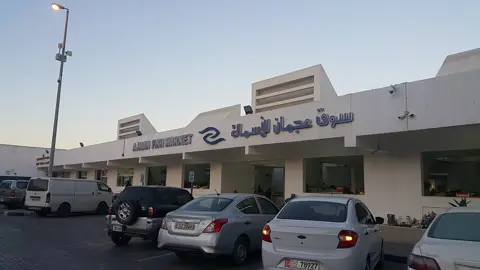 The fish market shows the working seafood trade behind Ajman’s coast.