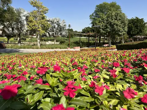 Colourful flower beds and landscaped grounds in the park