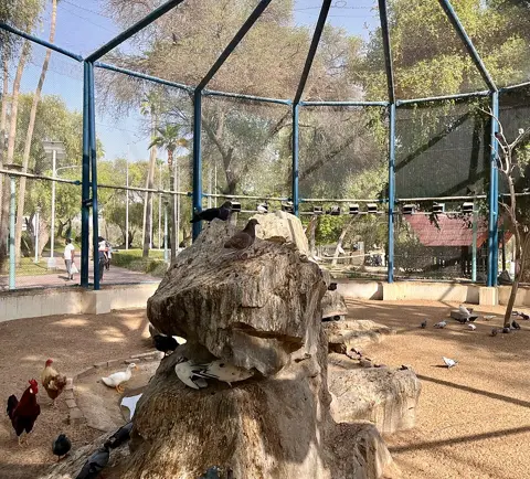 A bird enclosure within Mushrif Park