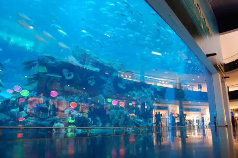 The main aquarium viewing wall beside the mall walkway