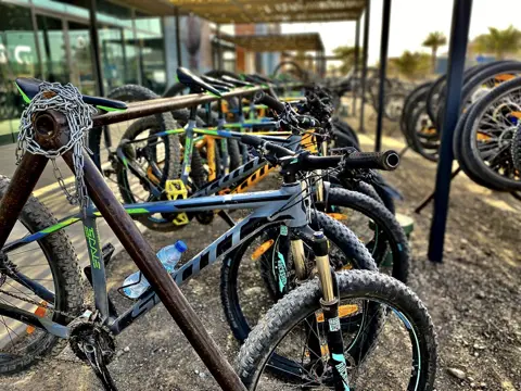 Mountain bikes lined up for hire at the activity hub