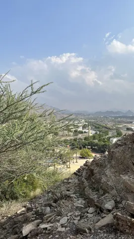 A hillside view across the park’s trees and mountain surroundings