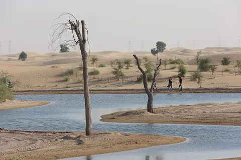 جھیل کنارے بے برگ درخت اور صحرا کی ریت