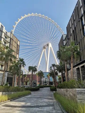 Ain Dubai from Bluewaters Island