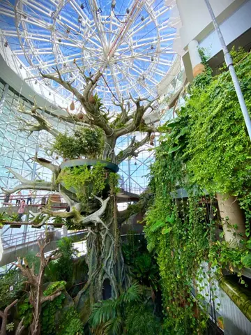 The planted indoor biodome and its elevated walkways