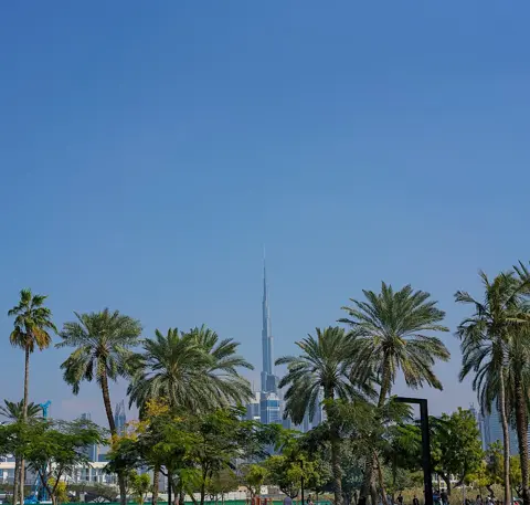 پارک سے نظر آنے والے کھجور کے درخت اور برج خلیفہ۔