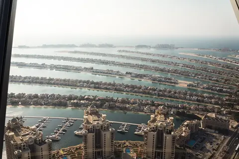 The Palm’s fronds seen through a viewing window at The View