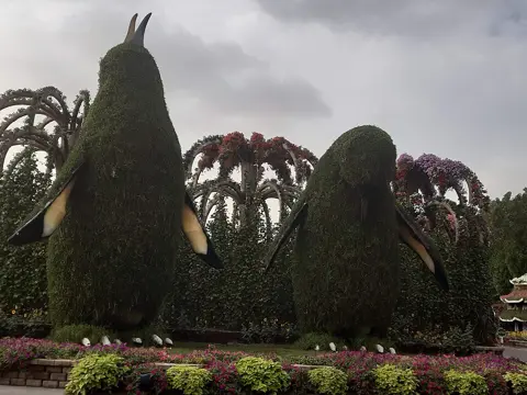 Bird-shaped topiary figures decorated with foliage