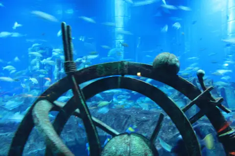 A circular viewing feature frames the aquarium tank