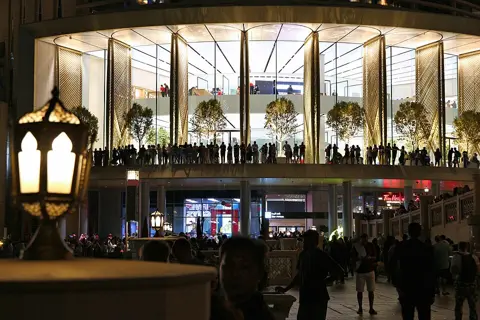 The mall’s entrance area, with its tall windows and palm planting