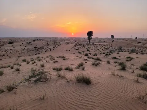 The reserve’s sandy landscape at sunset