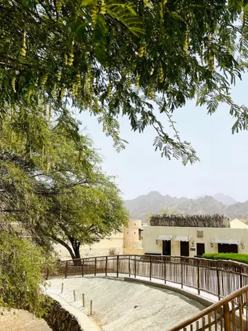 سایہ دار راستہ اور گاؤں کی روایتی عمارتیں