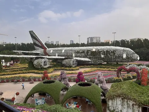 The flower-covered aircraft display among the garden beds