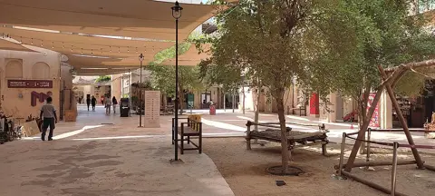 سایہ دار چھتریوں اور درختوں والا کشادہ بازاری صحن