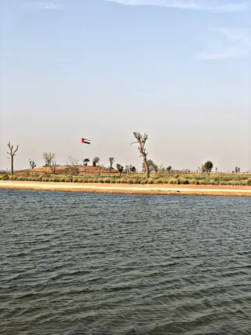 جھیل کے کنارے اور اس کے درختوں کے اوپر اڑتے پرندے۔
