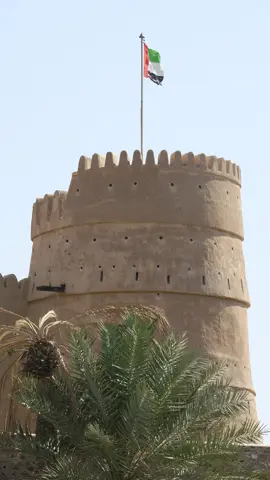 قریب سے قلعے کی دیوار اور برج کی تعمیر نظر آتی ہے۔