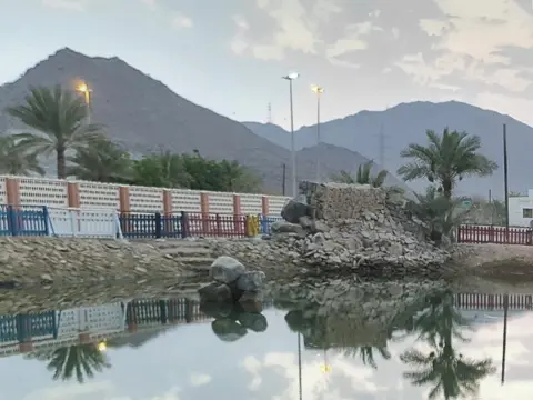 پارک کا تالاب عین المضب کے ترتیب دیے ماحول کا قریب منظر دیتا ہے۔