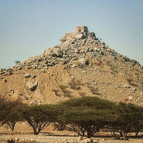 ضایہ قلعہ — دونوں برج پہاڑی چوٹی پر نمایاں مقام رکھتے ہیں۔