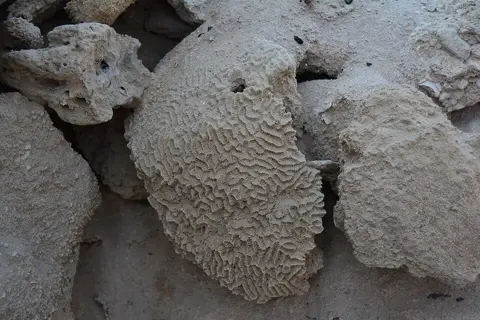 الجزیرہ الحمراء تاریخی گاؤں — روایتی دیوار کی تعمیر میں مرجان کے ٹکڑے اب بھی نمایاں ہیں۔