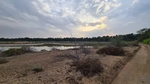 آبی زمین کا منظر واسط میں محفوظ مسکن متعارف کراتا ہے۔