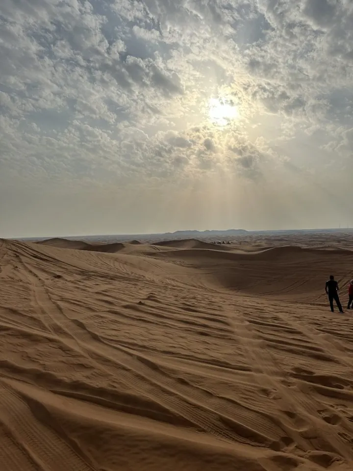 دبئی میں دبئی ڈیزرٹ کنزرویشن ریزرو