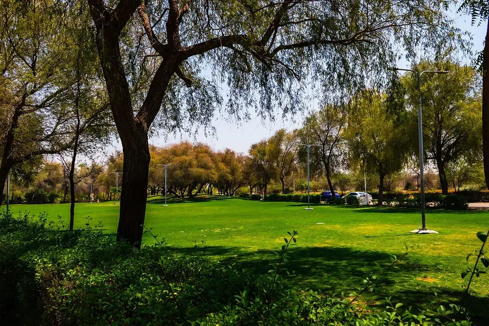 دبئی میں مشرف پارک
